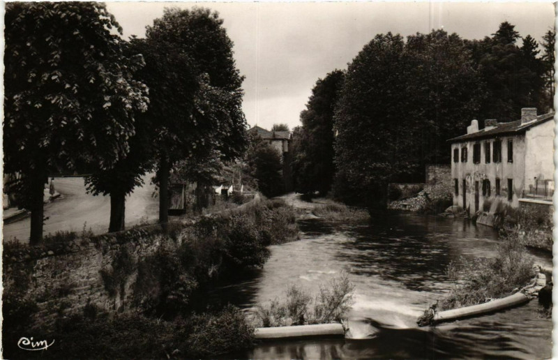 Carte postale ancienne Regny - L'Avenue de la Gare ewt le Rhins France à Régny