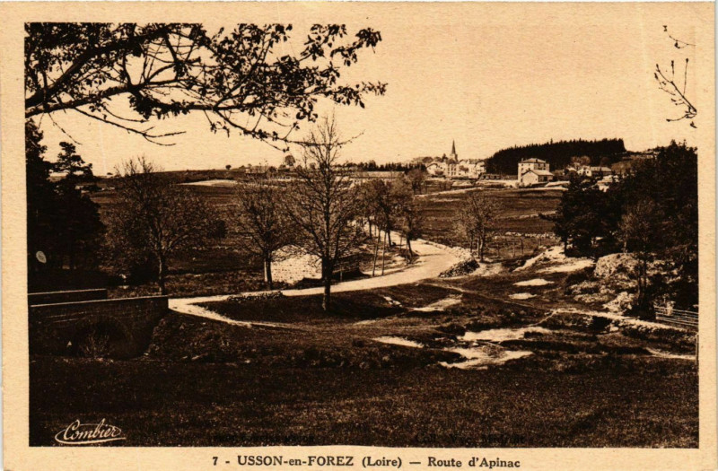 Carte postale ancienne Usson-en-Forez - Route d'Apinac France à Usson-en-Forez