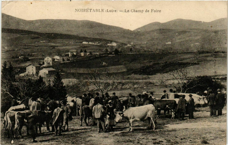 Carte postale ancienne Noiretable Le Champ de Foire à Noirétable