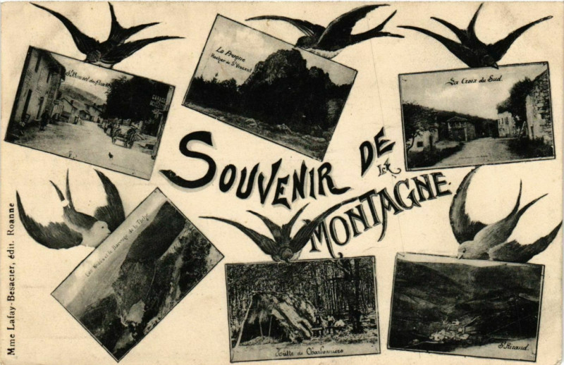 Carte postale ancienne Souvenir de Montagne