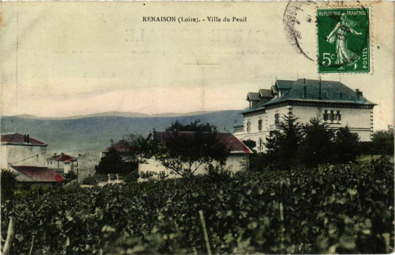 Carte postale ancienne Renaison- Vuilla du Peuil à Renaison