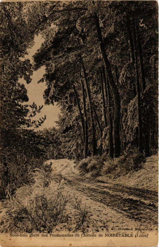 Carte postale ancienne Noiretable- Sous bois givre des Promenades du Chateau à Noirétable