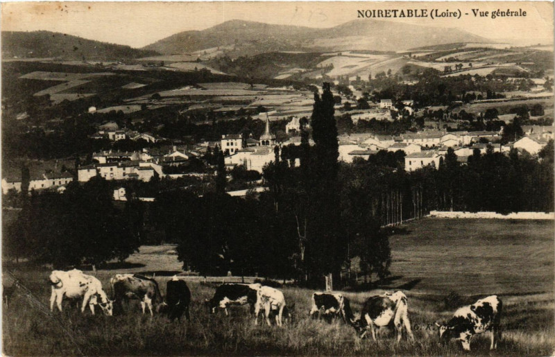 Carte postale ancienne Noiretable- Vue generale à Noirétable