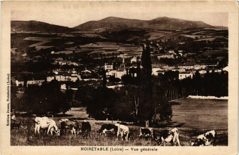 Carte postale ancienne Noiretable- Vue generale à Noirétable