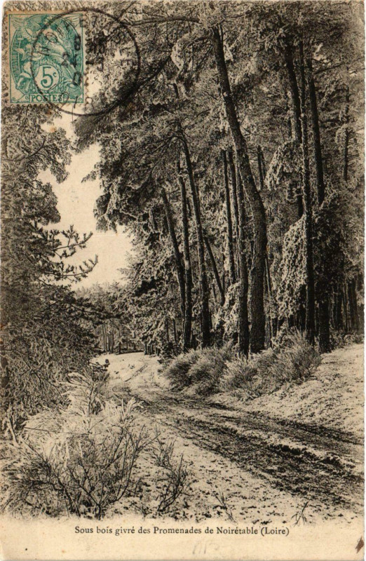 Carte postale ancienne Noiretable- Sous bois givre des Promenades à Noirétable