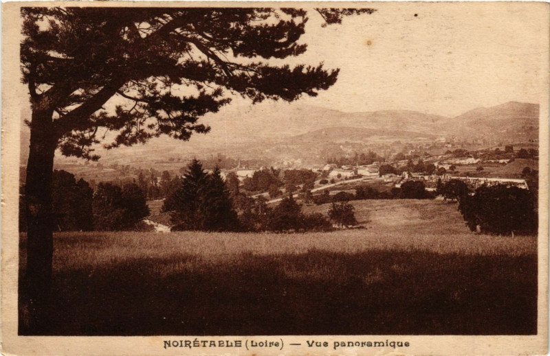 Carte postale ancienne Noiretable- Vue panoramique à Noirétable