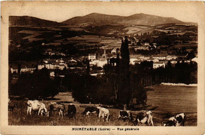 Carte postale ancienne Noiretable- Vue generale à Noirétable