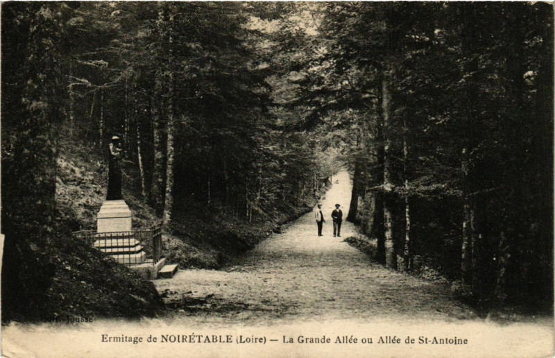 Carte postale ancienne Noiretable- La Grande Allee ou Allee de St Antoine à Noirétable