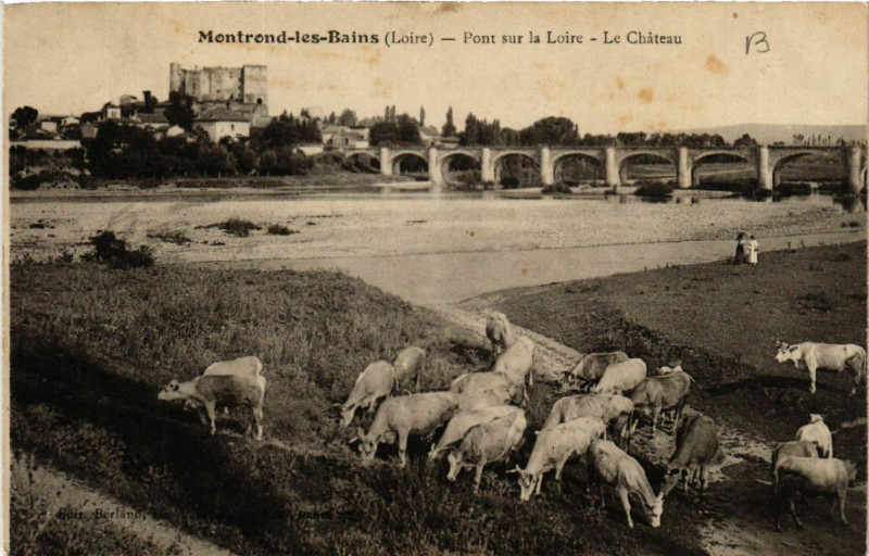 Carte postale ancienne Montrond-les-Bains - Pont sur la Loire - Le Chateau à Montrond-les-Bains