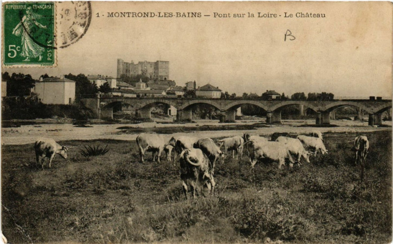 Carte postale ancienne Montrond-les-Bains - Pont sur la Loire - Le Chateau à Montrond-les-Bains