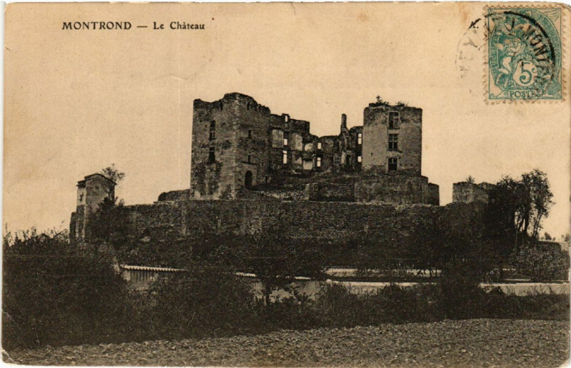 Carte postale ancienne Montrond - Le Chateau