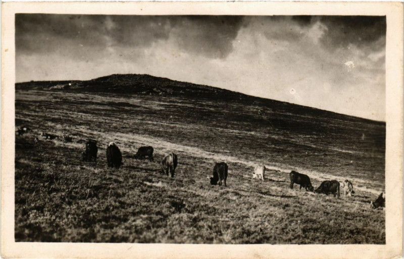Carte postale ancienne Mont-Pilat - Le Cret de la Perdrix