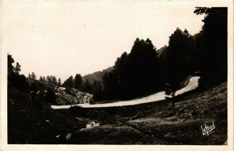 Carte postale ancienne Saint-Sauveur-en-Rue Loire - Forét Taillard Aignebelle à Saint-Sauveur-en-Rue