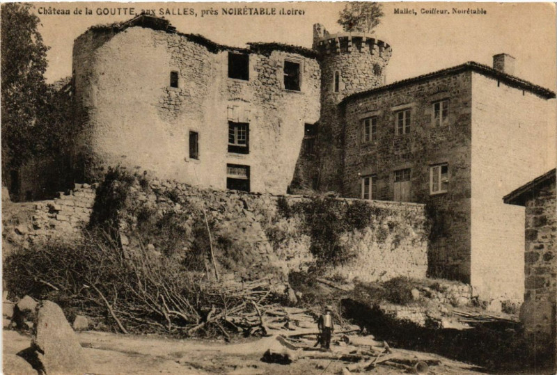 Carte postale ancienne Chateau de la Goutte aux Salles pres Noiretable à Noirétable