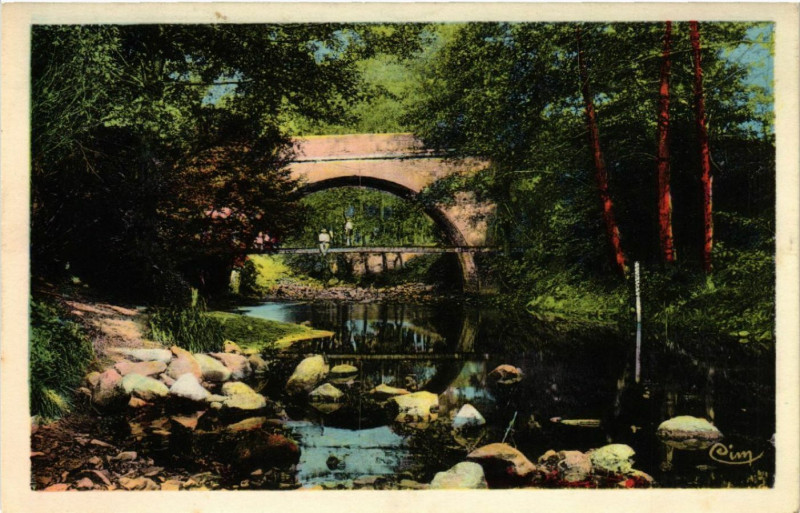 Carte postale ancienne Chazelles-sur-Lyon - Pont de La Coise - Route de Chevrieres à Chazelles-sur-Lyon
