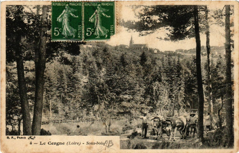 Carte postale ancienne La Cergne -sous-bois