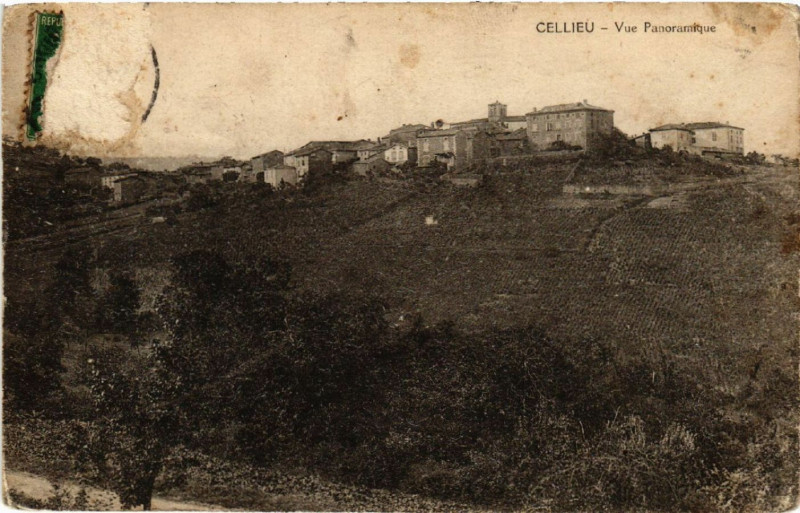 Carte postale ancienne Cellieu - Vue Panoramique à Cellieu