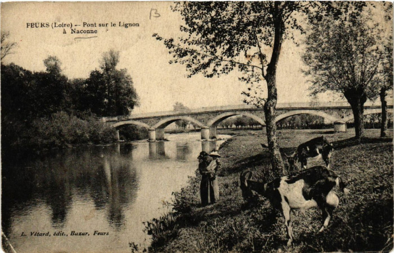 Carte postale ancienne Feurs - Pont sur le Lignon a Naconne à Feurs