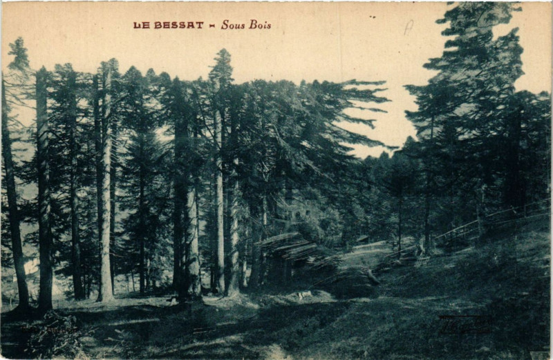 Carte postale ancienne Le Bessat - Sous Bois au Bessat