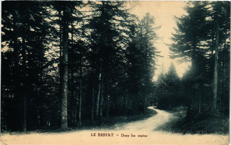 Carte postale ancienne Le Bessat - Dans les sapins au Bessat