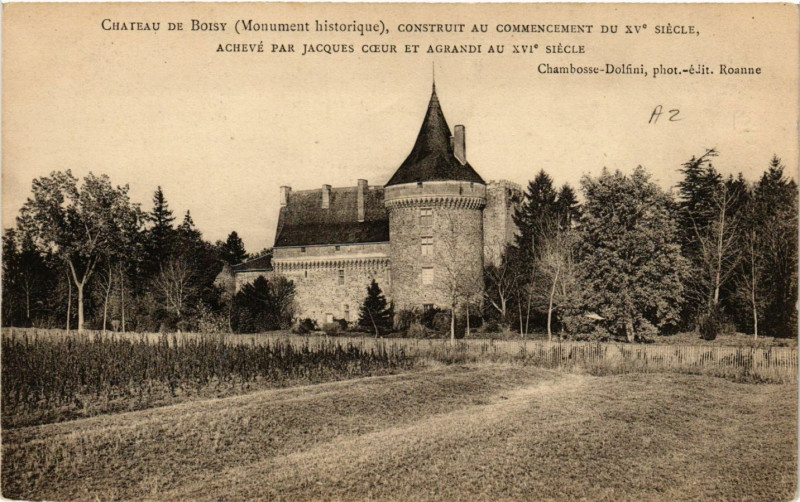 Carte postale ancienne Chateau de Boisy construit au connencement du Xv siécle