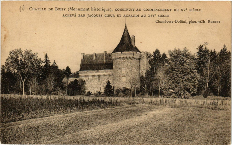 Carte postale ancienne Chateau de Boisy construit au connencement du Xv siécle
