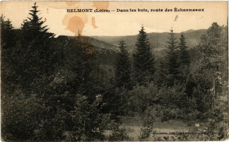 Carte postale ancienne Belmont - Dans les bois voute des Echarmeaux