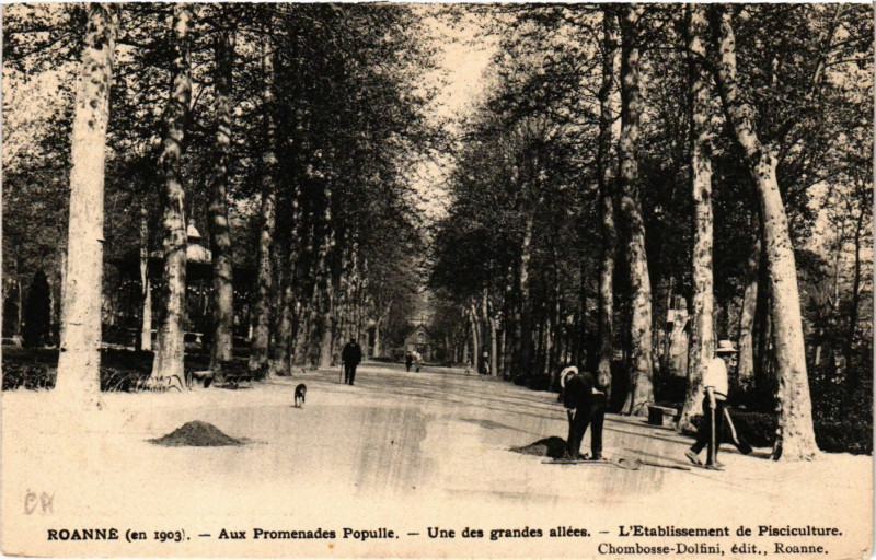 Carte postale ancienne Roanne Aux Promenades Populle-Une des grandes allées à Roanne