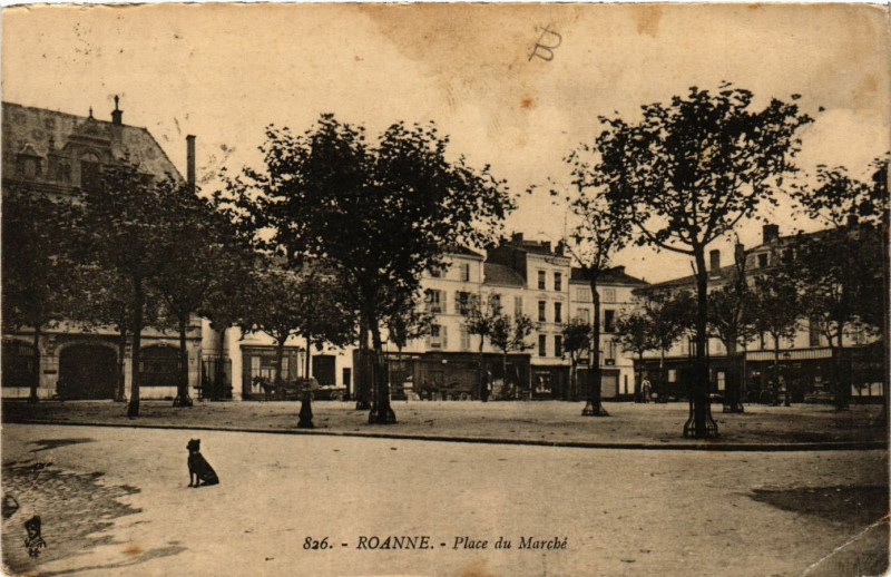 Carte postale ancienne Roanne Place du Marché à Roanne
