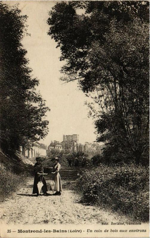 Carte postale ancienne Montrond-les-Bains - Un coin de bois aux Environs à Montrond-les-Bains