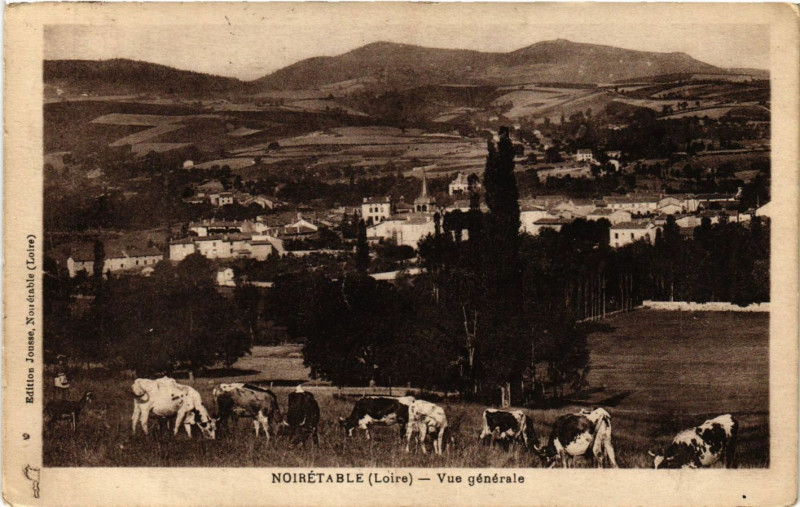 Carte postale ancienne Noiretable - Vue générale à Noirétable