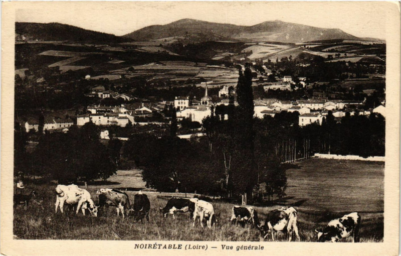 Carte postale ancienne Noiretable - Vue générale à Noirétable