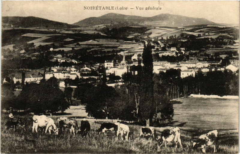 Carte postale ancienne Noiretable - Vue générale à Noirétable