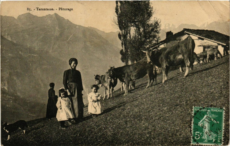 Carte postale ancienne Tarentaise - Paturage à Tarentaise