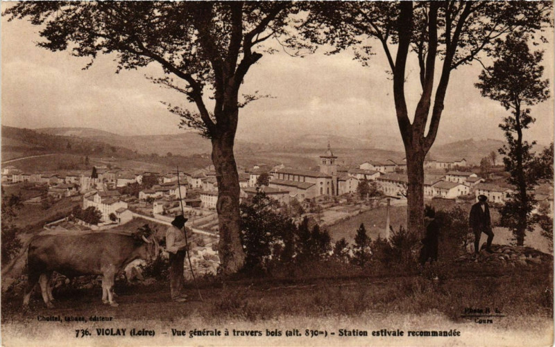 Carte postale ancienne Violay - Vue généralee a travers bois à Violay