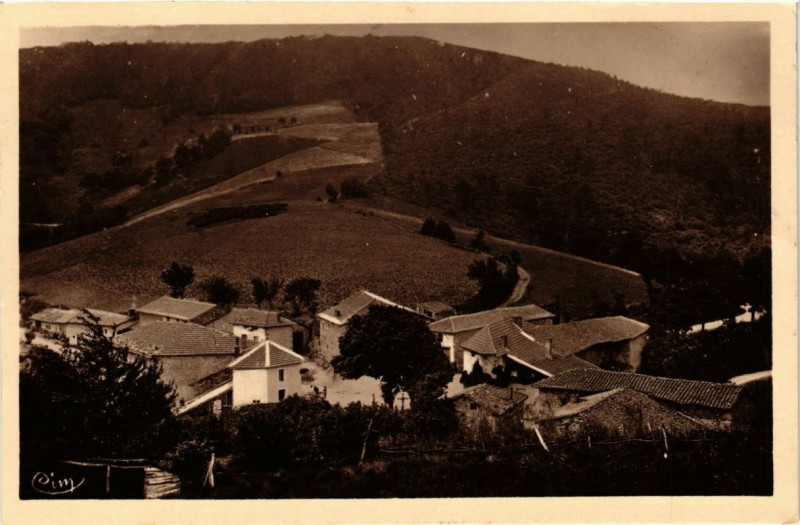 Carte postale ancienne La Croix-du-Sud - Vue générale