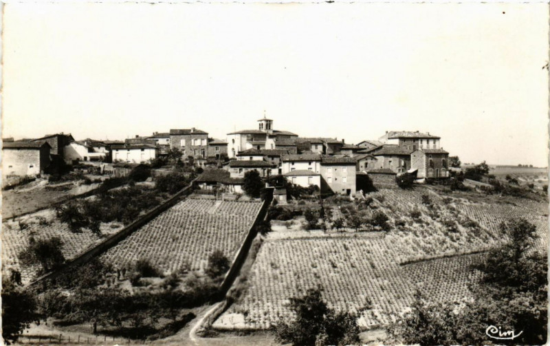 Carte postale ancienne Cellieu - Vue générale à Cellieu