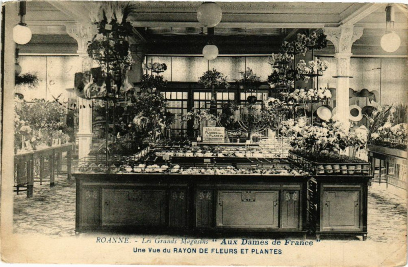 Carte postale ancienne Roanne - Les Grands Magasins â€žAux Dames de Franceâ€� à Roanne