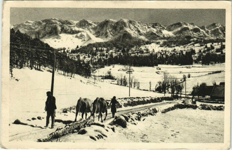 Carte postale ancienne Le Villard de Lans - Attelage rustique sur les route des Clots à Villard-de-Lans