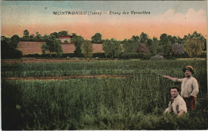 Carte postale ancienne Montagnieu - Etang des Vernettes à Montagnieu