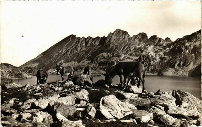 Carte postale ancienne Sept Laux - Lac de la Motte - Environs d'Allevard France à Allevard