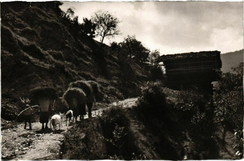 Carte postale ancienne Dans le Sentier Montant a Iserables France
