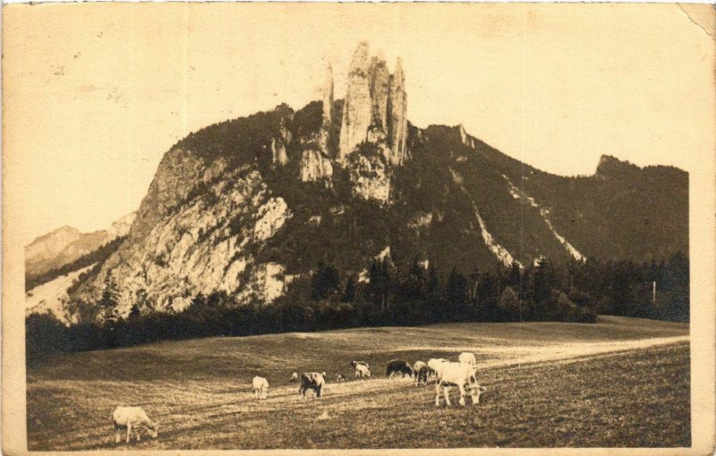 Carte postale ancienne Grenoble - Vue generale à Grenoble