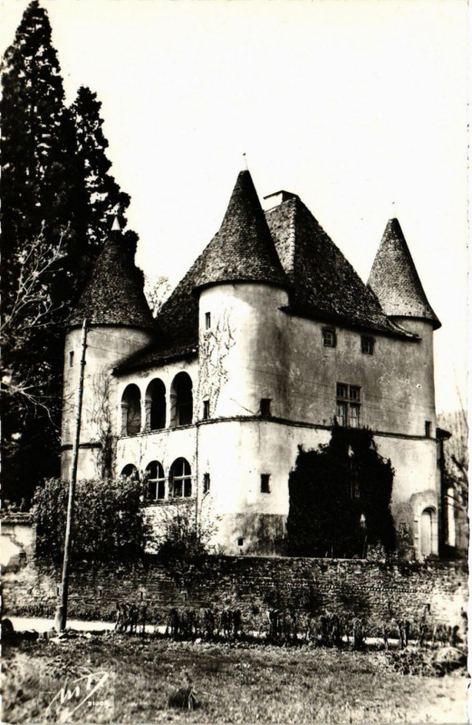 Carte postale ancienne Saint-Chef - Chateau du Marchil à Saint-Chef
