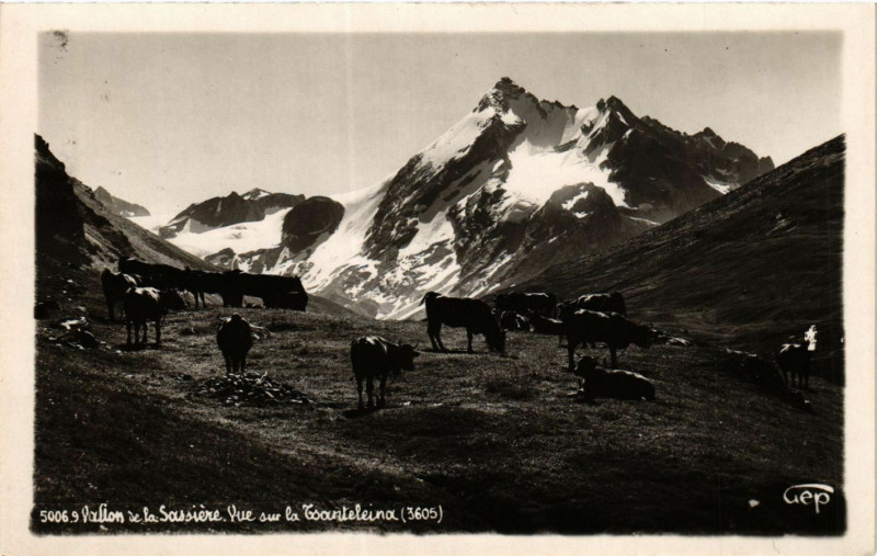 Carte postale ancienne Vallon de la Sassiée. Vue sur la Tsanteleina (3605)