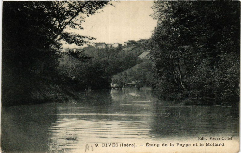 Carte postale ancienne Rives - Etang de la Poype et le Mollard à Rives