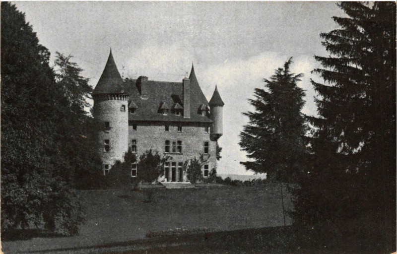 Carte postale ancienne Château de Milliassière à Succieu