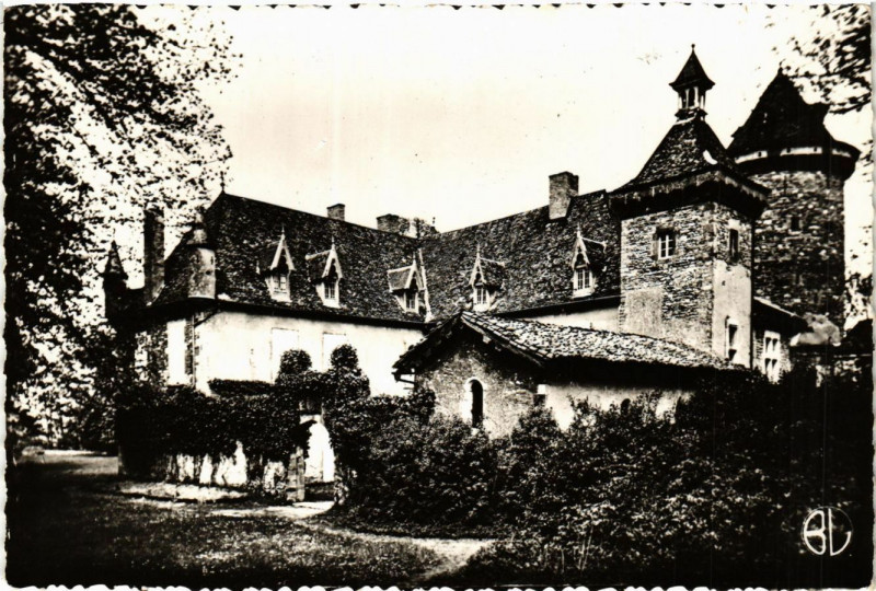 Carte postale ancienne Vues de l'Isere - Saint-Chef - La chateau à Saint-Chef