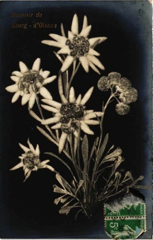 Carte postale ancienne Souvenir de Bourg-d'Oisans