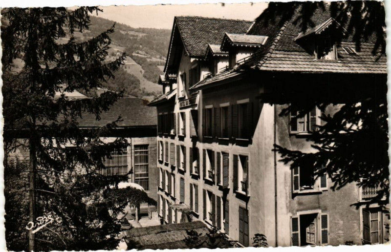 Carte postale ancienne Allevard-les-Bains - Hotel Continental et Chalet à Allevard